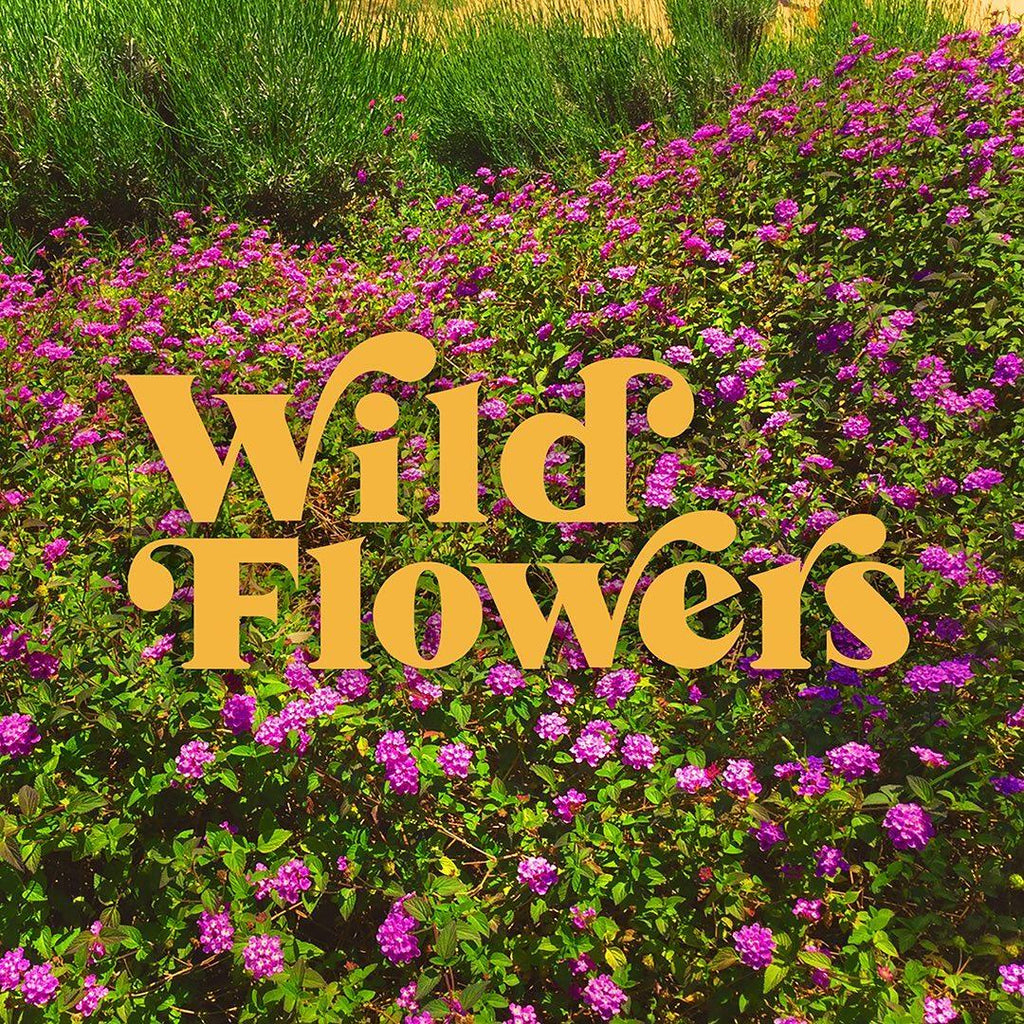 『Wild Flowers』